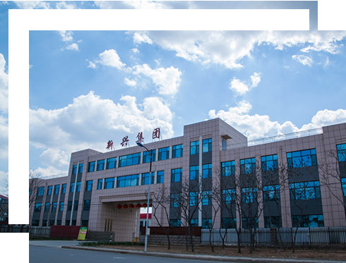 Shandong Ningjin Xinxing Chemical Co., Ltd.